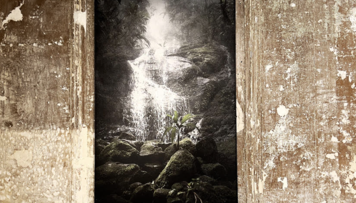 Community _ Photo : Exposition 'Oro Negro' - Au coeur de la jungle brésilienne - à l'Atelier PGR