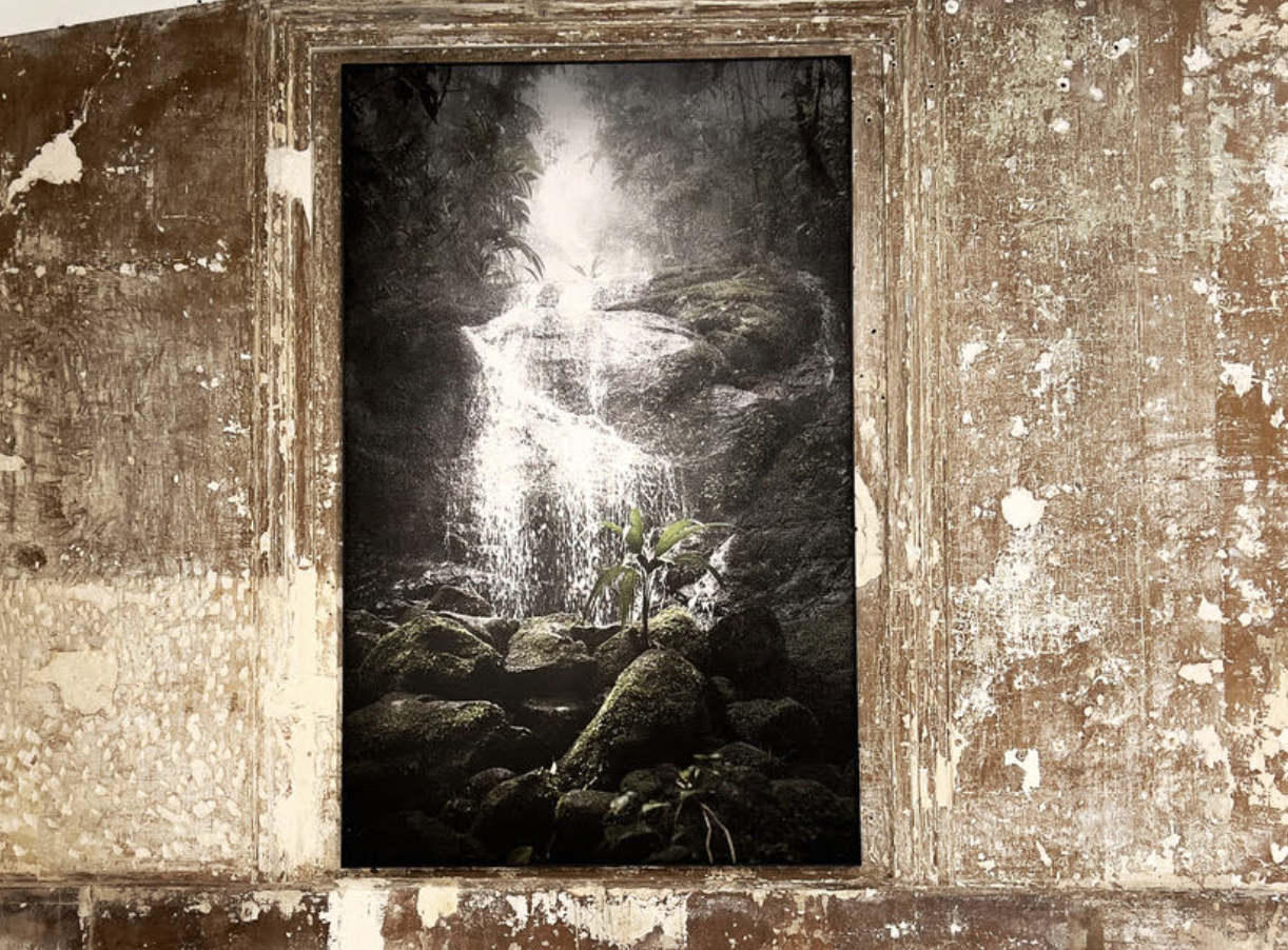 Community _ Photo : Exposition 'Oro Negro' - Au coeur de la jungle brésilienne - à l'Atelier PGR