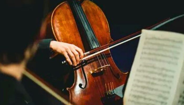 Dîner-Concert avec Godefroy Vujicic