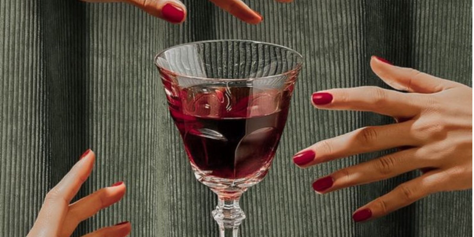Soirée oenologie