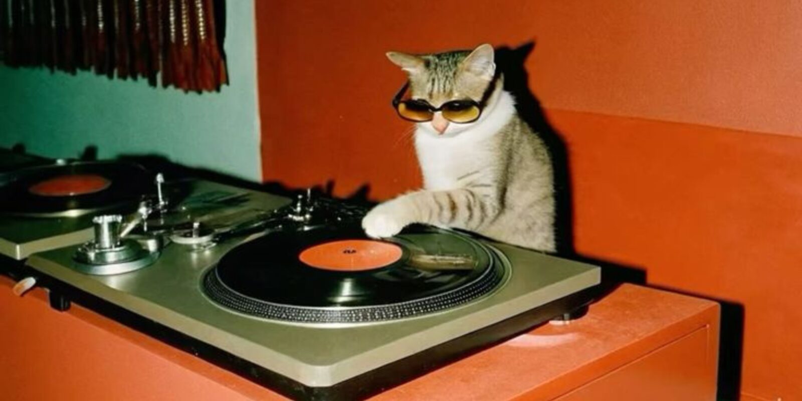 DJ Set - Monsieur Toulouse