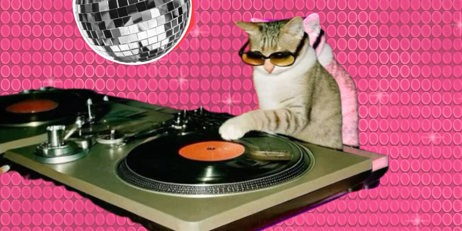 DJ Set - Monsieur Toulouse