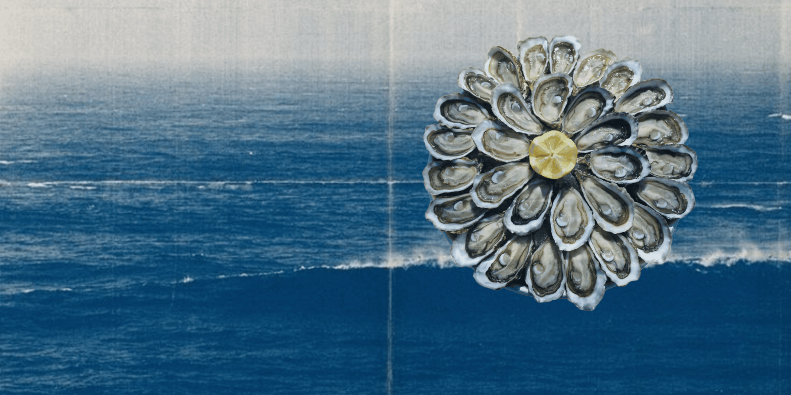 Oyster party we are_ x Effet Mer